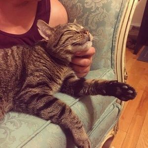 Meet your Posher, Cassie